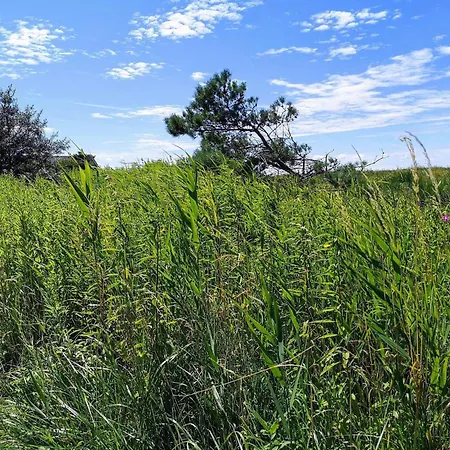 5 Person In Hébergement de vacances Karrebæksminde