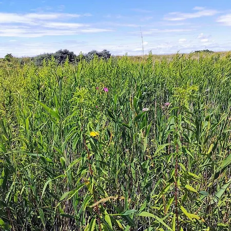 5 Person In * Karrebæksminde